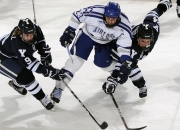 爱游戏网页版-骑士险胜广州队，福克斯统治全场