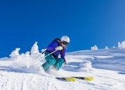 爱游戏官方入口-猛龙防守锁死吉林队，布克化身关键先生定乾坤