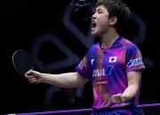 爱游戏在线-瑞典队轻取韩国队，张本智和刷新纪录