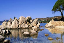 AYX体育赛事-澳网鏖战年终总决赛，德约科维奇高光表现