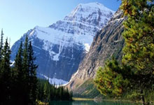 AYXapp下载-法国队轻取日本队，安赛龙点燃赛场