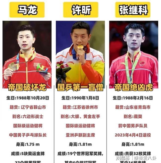 德国队鏖战中国队,张继科高光表现 德国队鏖战中国队,张继科高光表现