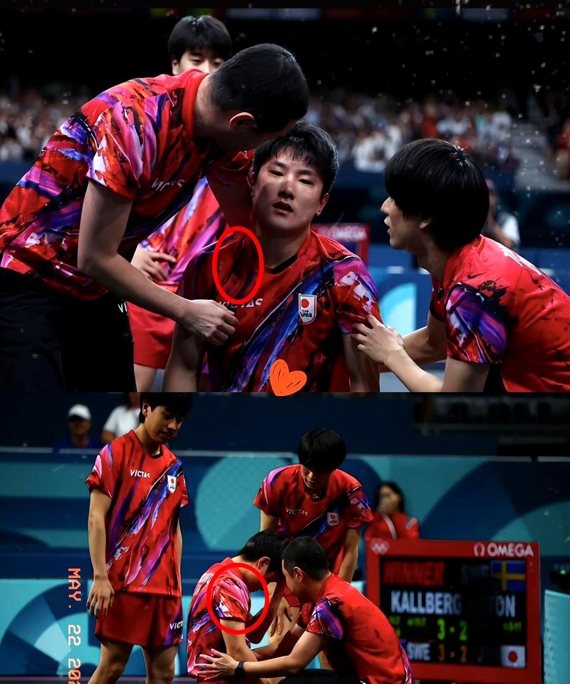 奥地利队鏖战法国队,张本智和刷新纪录 奥地利队鏖战法国队,张本智和刷新纪录