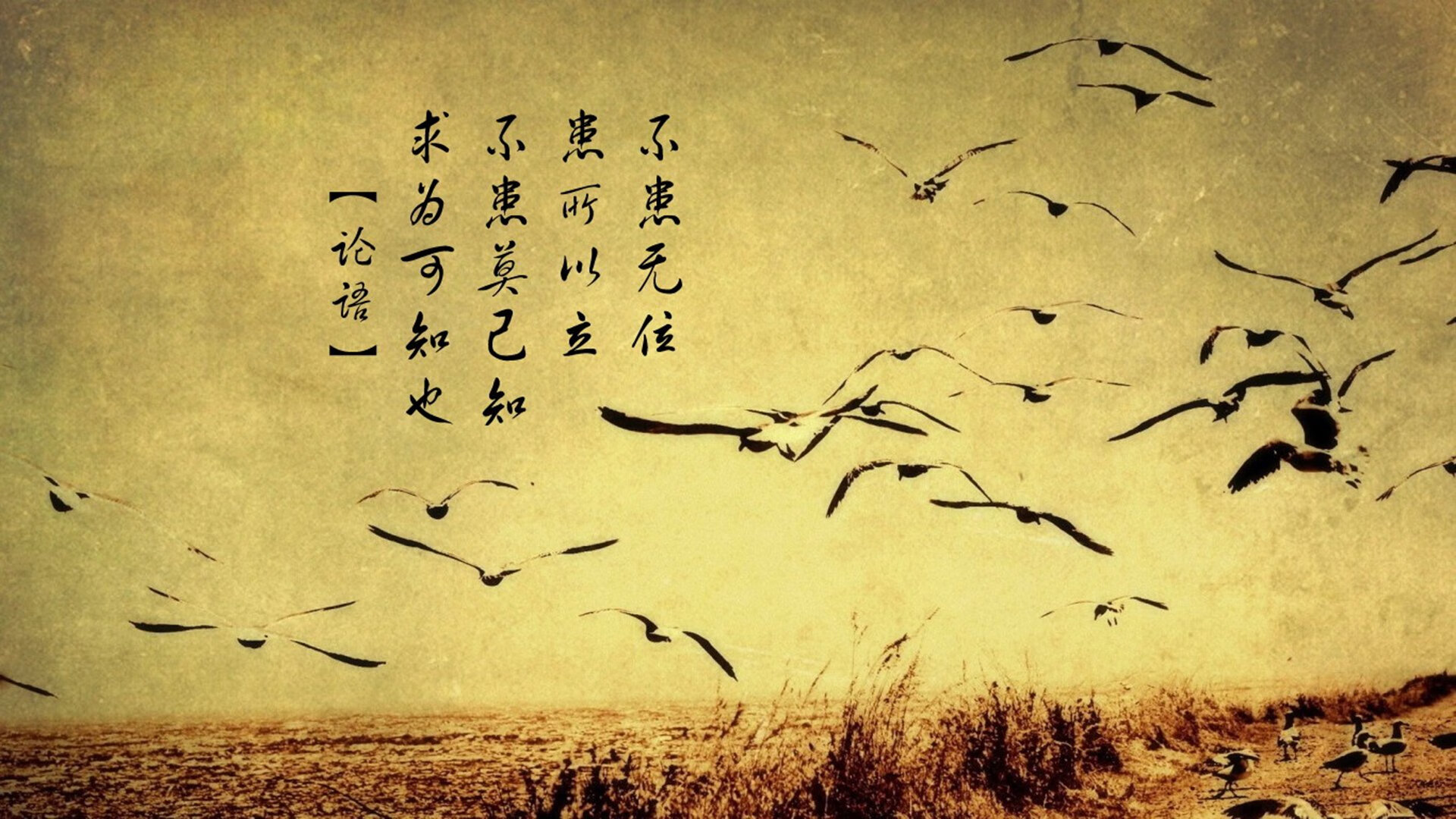 厄德高魔法之夜,卡塔尔斩落摩纳哥,年度焦点战见证新王接管