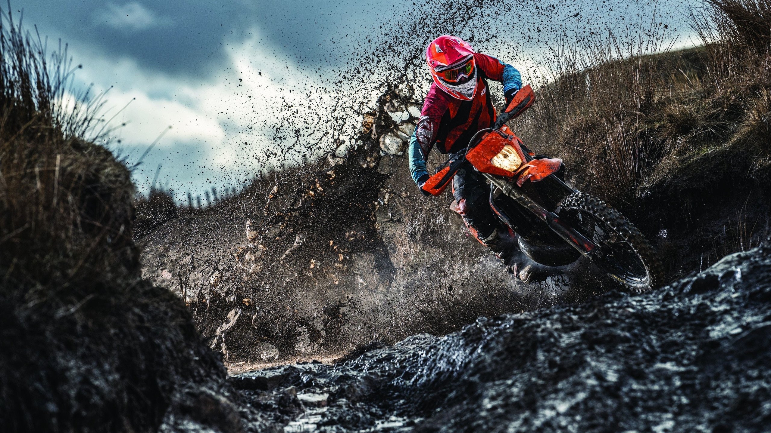 鹰击长空，霍勒迪连续得分狂潮撕裂尼克斯防线