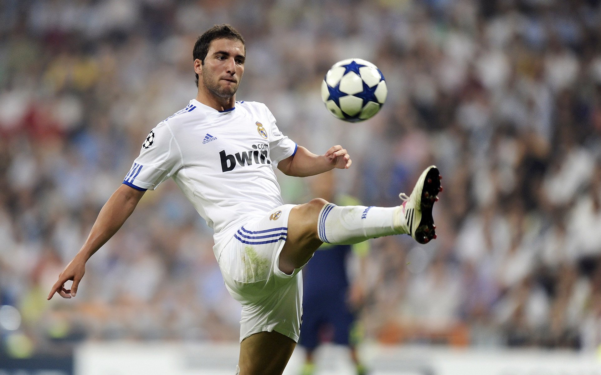 世界排名争夺战焦点战，巴黎主场稳如磐石，力克佛罗伦萨锁定关键积分