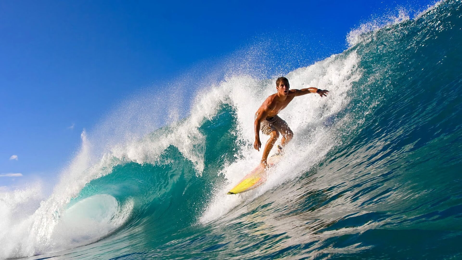 波斯铁骑压制法老军团，伊布式领袖成破局关键